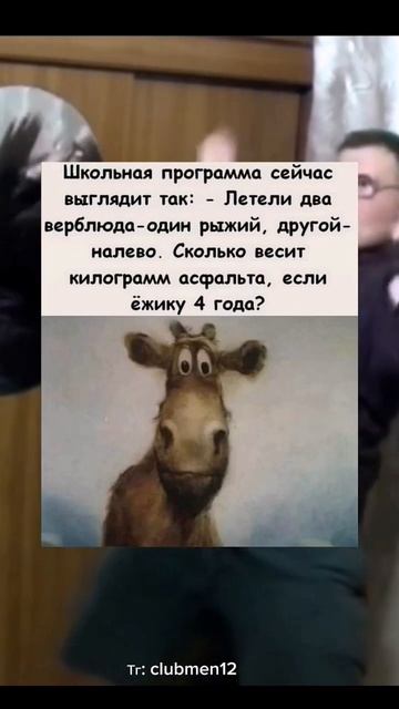 #приколы #мемы #юмор смотреть онлайн