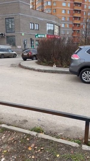 Команда «Ап»