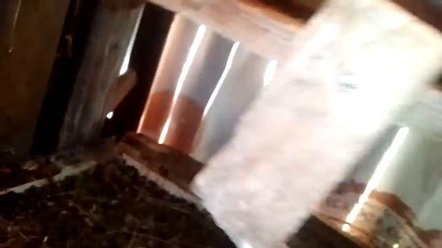 18 августа 2022 г. смотреть онлайн