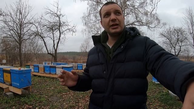 ВІДЛІТАЛИ на цей рік))) #Зимівля_бджіл длякого іспит? Трішки про різне #МОя_ПАСІКА #бджільництво смотреть онлайн