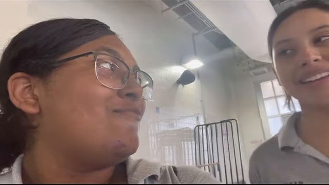 Would u suck toes for money?👀 смотреть онлайн