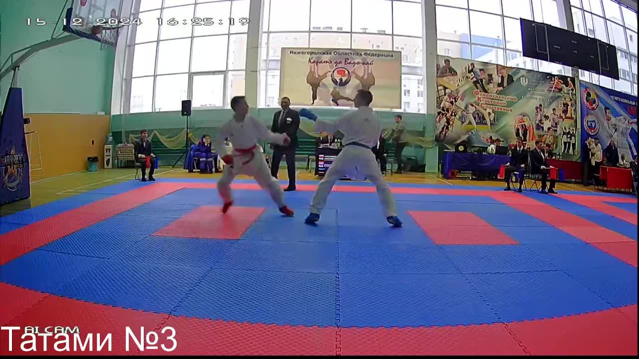 Татами № 3 Межрегиональный турнир по каратэ WKF 
