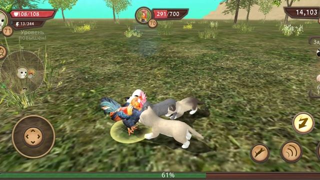 У петуха 700 хр и 70 уровень в Cat Sim online: Play with cats. смотреть онлайн