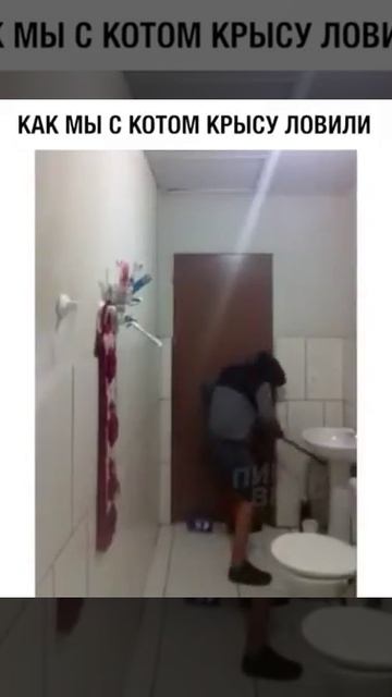Мышь рулит смотреть онлайн