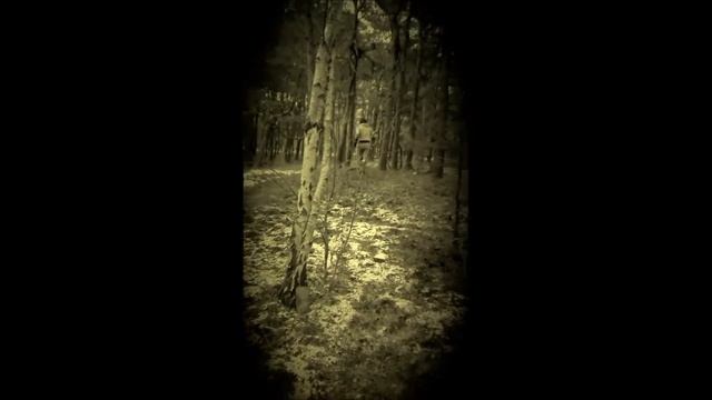 The Forest смотреть онлайн