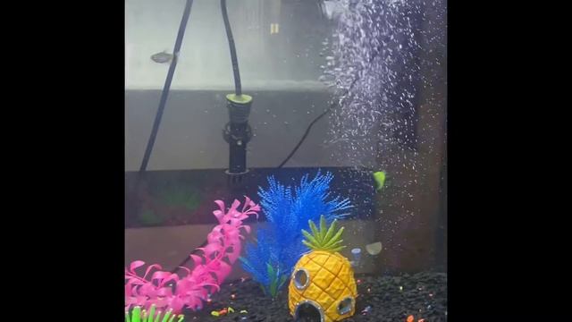 Here’s a solution for a green tank (Algaefix ) смотреть онлайн