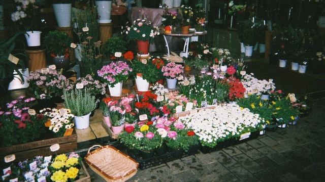 Vertebrae (Tiny Moving Parts / Instrumental cover) смотреть онлайн