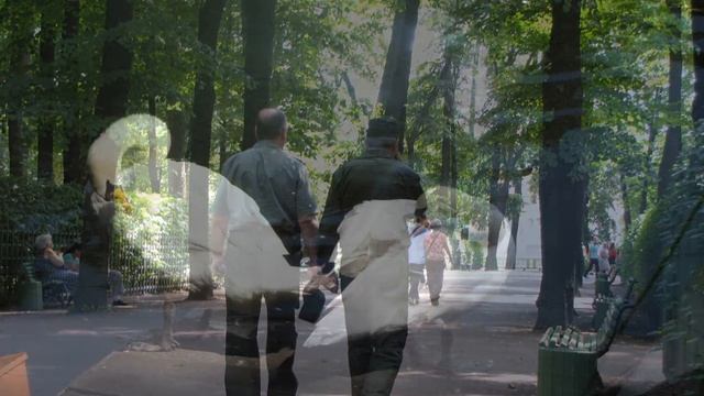 Гуси в Летнем саду смотреть онлайн