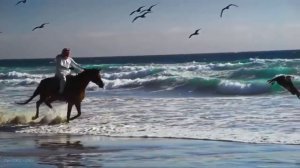 Ой, то не вечер. Протодиакон Андрей Железняков