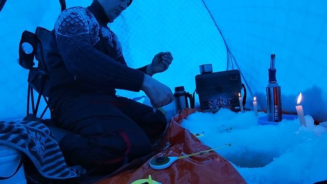 КАРАСЬ в феврале??? Это РЕАЛЬНО!!! Как поймать ПОЛНЫЕ сани КАРАСЯ зимой? Ловля карася зимой. смотреть онлайн