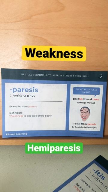🔥 How to Remember Medical Terminology - MADE EASY [Suffix Flashcards - Coding, Nursing] смотреть онлайн