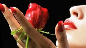 EL КРАВЧУК - ВОГОНЬ.