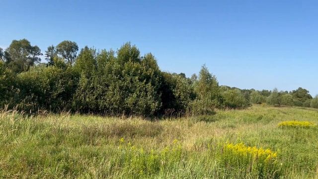 Рябиково участок смотреть онлайн