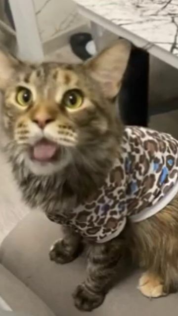 Когда очень хочешь кушать смотреть онлайн