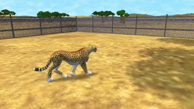 Zoo Tycoon 2 Cheetah Breeding Tutorial смотреть онлайн