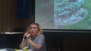 Особенности выращивания роз в Приморском крае. 2025 02 01