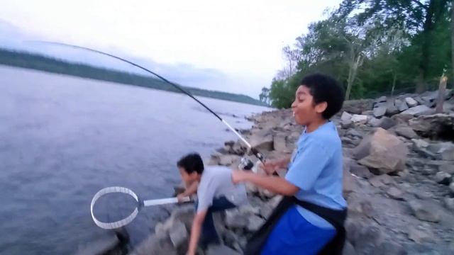 Jaydon Catches His First Striper (Rockfish)! Getting super hyped! #Stripedbass #striper #rockfish смотреть онлайн