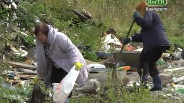 Всероссийская акция в Кингисеппском районе смотреть онлайн