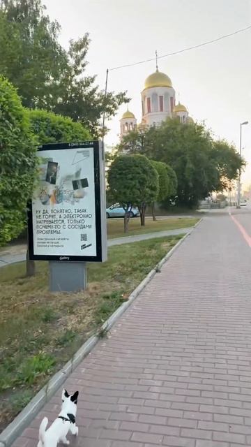 ВАЙТЮХА ГУЛЯЕТ ПО ЦЕНТРУ ЕКАТЕРИНБУРГА смотреть онлайн