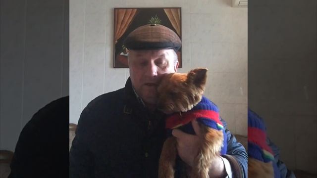 Жена или собака больше любит?) смотреть онлайн