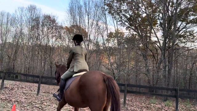 Open Horse Show Association: Chriss Nichols And Bacchus, Freestyle WT Hunt Seat Equitation