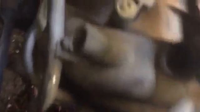 Chevrolet Cruze Engine Problem! смотреть онлайн