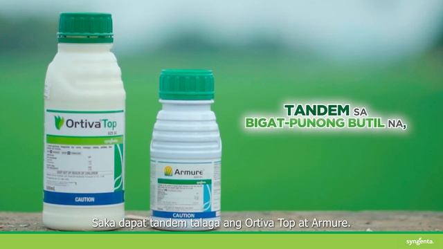 Ortiva Top Fungicide Testimonial Video of Top 5 winner Cirilo Orocha in Bukidnon смотреть онлайн