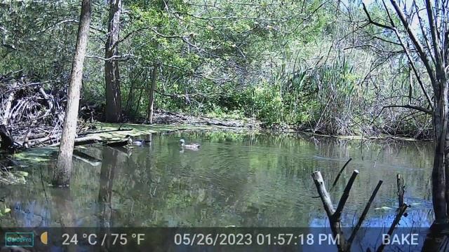 Field Camera Highlights - May 2023 смотреть онлайн