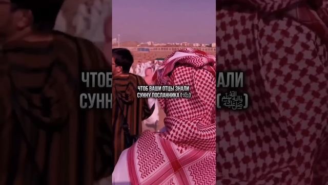 Я видел богатых,видел бедных и видел как их одинаково хоронили смотреть онлайн