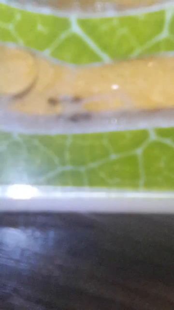 муравьиная ферма часть 10 смотреть онлайн