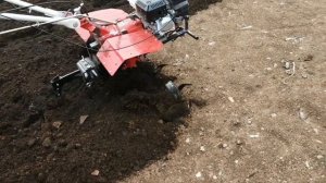 ВСПАШКА ОГОРОДА ФРЕЗАМИ ИЗ ТРЕХ НОЖЕЙ ПОД КАРТОФЕЛЬ МОТОБЛОКОМ BRAIT 105