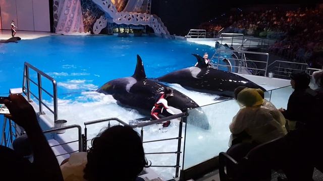 Касатки смотреть онлайн