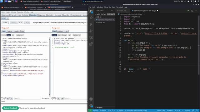 3. Lab 2 - Blind OS command injection with time delays смотреть онлайн
