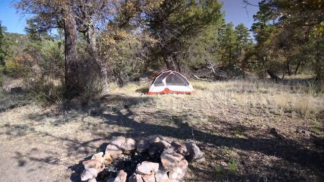 Exploring New Mountain Ranges and Finding Alligator Lizards in Arizona смотреть онлайн