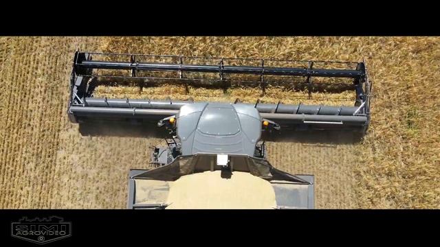 MASSEY FERGUSON IDEAL 9T - Barley Harvest/Árpa aratás 2022 - Lipták Farm@Katymár смотреть онлайн