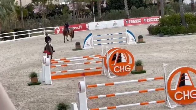 Maestro van het Breezerhof 140 CSI3*** Oliva смотреть онлайн