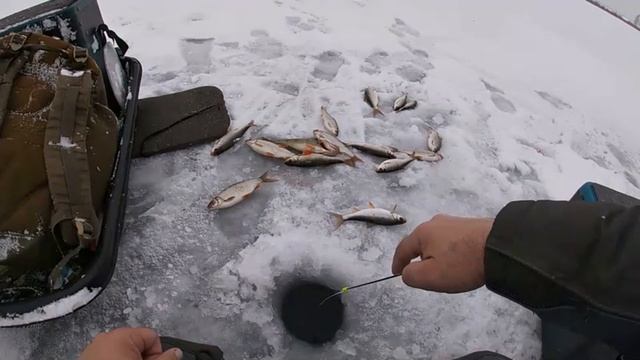 ОПУСТИЛ БЕЗМОТЫЛКУ ПОД ЛЁД И ПОНЕСЛОСЬ! ДАЖЕ РАКИ НЕ УСТОЯЛИ! ЭТО ПЕРВЫЙ ЛЁД! Рыбалка на безмотылку. смотреть онлайн