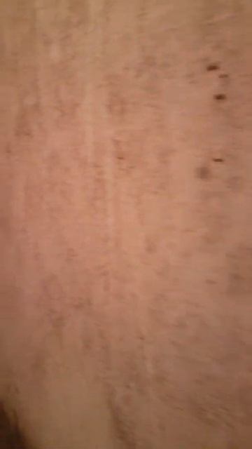 inside pool pump house смотреть онлайн