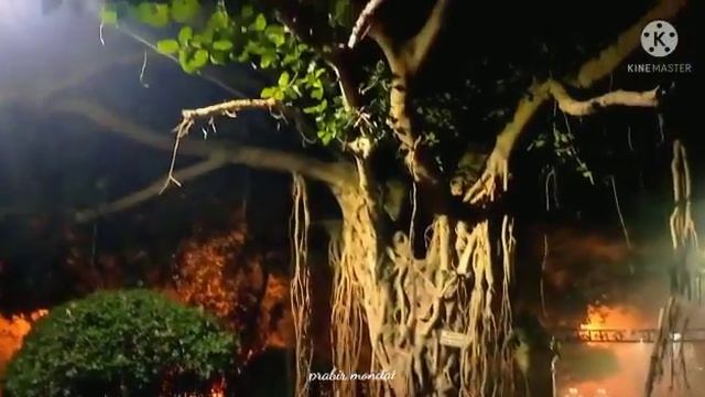 Amer vin desi tara aka rat e akash//status video смотреть онлайн