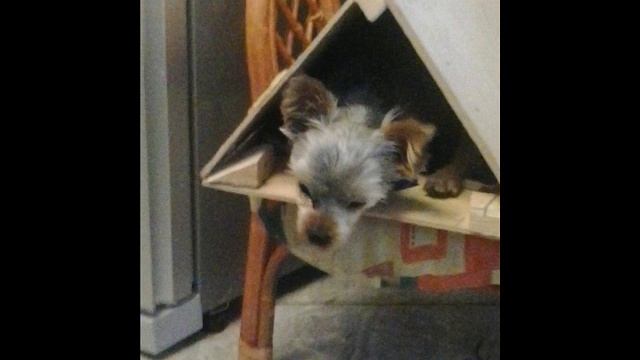 8 февраля 2023 г.(2) смотреть онлайн