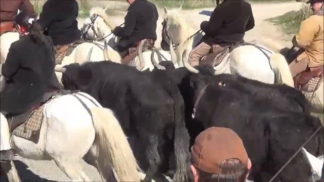 Matinale Club Taurin Mireille le 02.03.2014 смотреть онлайн