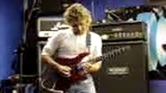 Flight of the bumblebee (filmed with the very first digital camera many yeas ago) смотреть онлайн