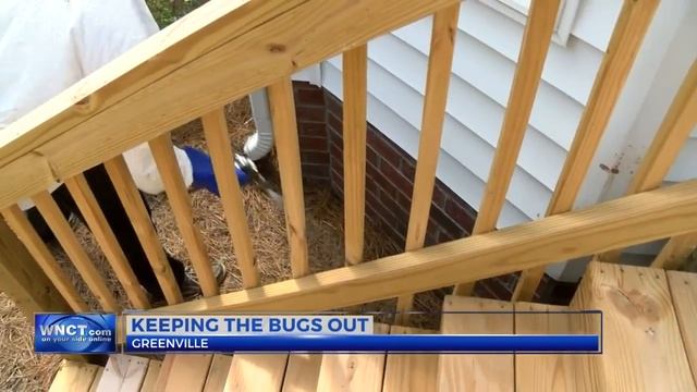 What you can do to keep unwanted bugs out of your home смотреть онлайн
