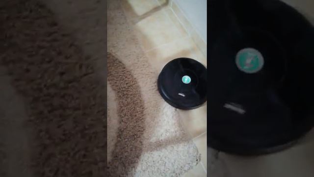 İRobot Roomba 606/605 Akıllı Temizlik Robotu Halılarda Nasıl Çalışır смотреть онлайн