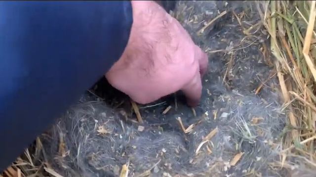 Чи варто давати їм 🐇 другий шанс ?! смотреть онлайн