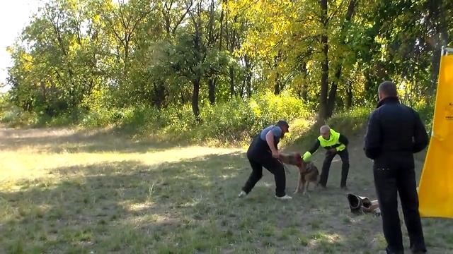 Горловский десант в Макеевке 15,09,19 .Веста(1й подход) смотреть онлайн