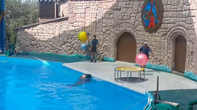 1 июля 2017 г. смотреть онлайн