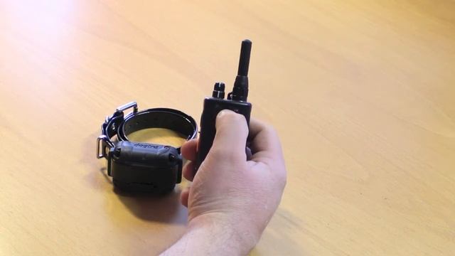 Dogtra 600M NCP Ferntrainer смотреть онлайн