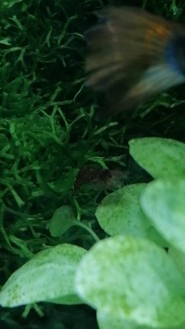 Топ#shorts смотреть онлайн