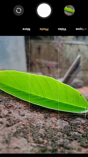 Iphone 14 HD Pro Camera Picture VIDEOGRAPHY ! #shorts #short #shortsfeed смотреть онлайн